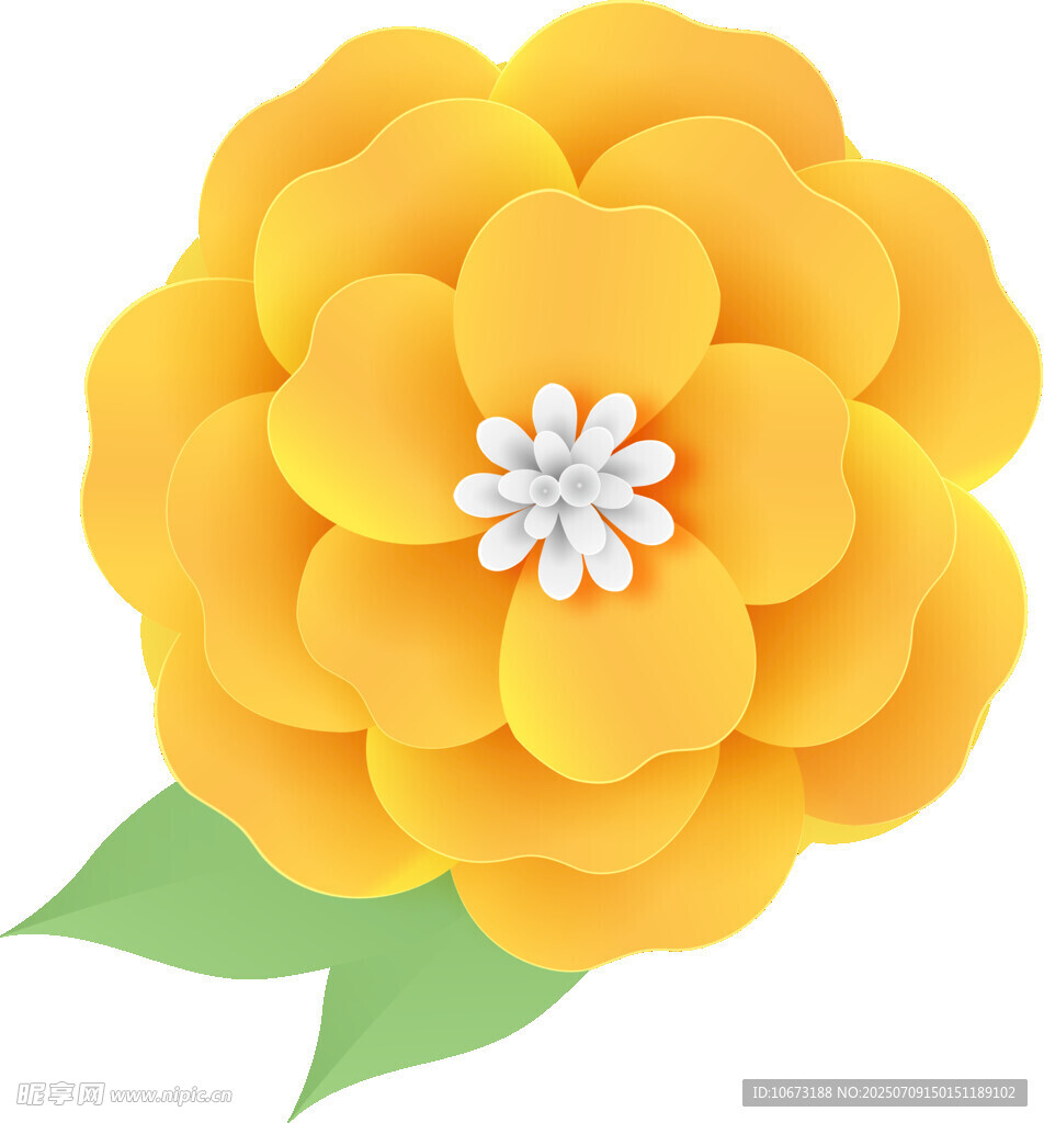 黄色花朵插画