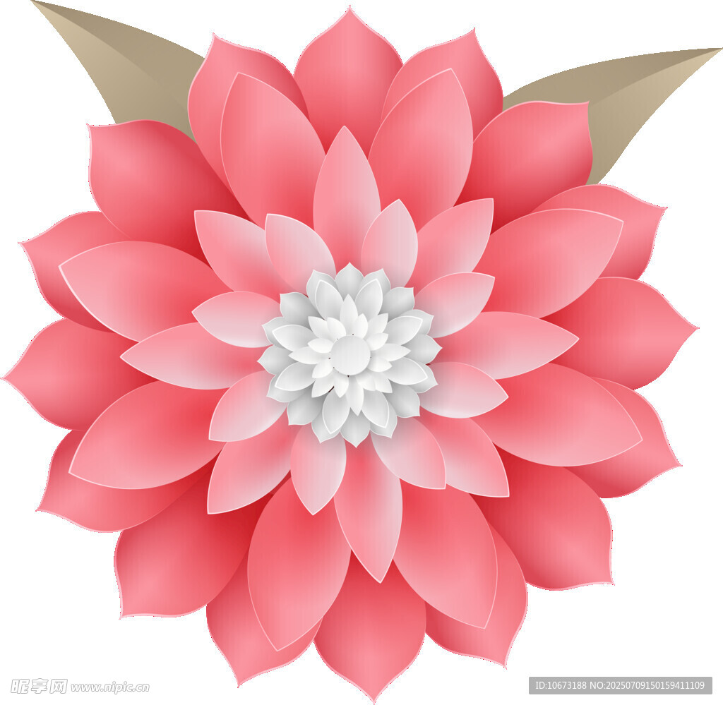 粉色立体花朵插画图案