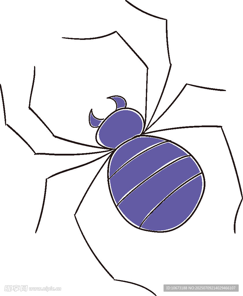 紫色蜘蛛插画