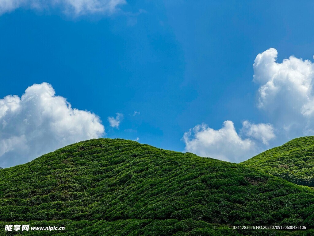 翠绿山峦映蓝天