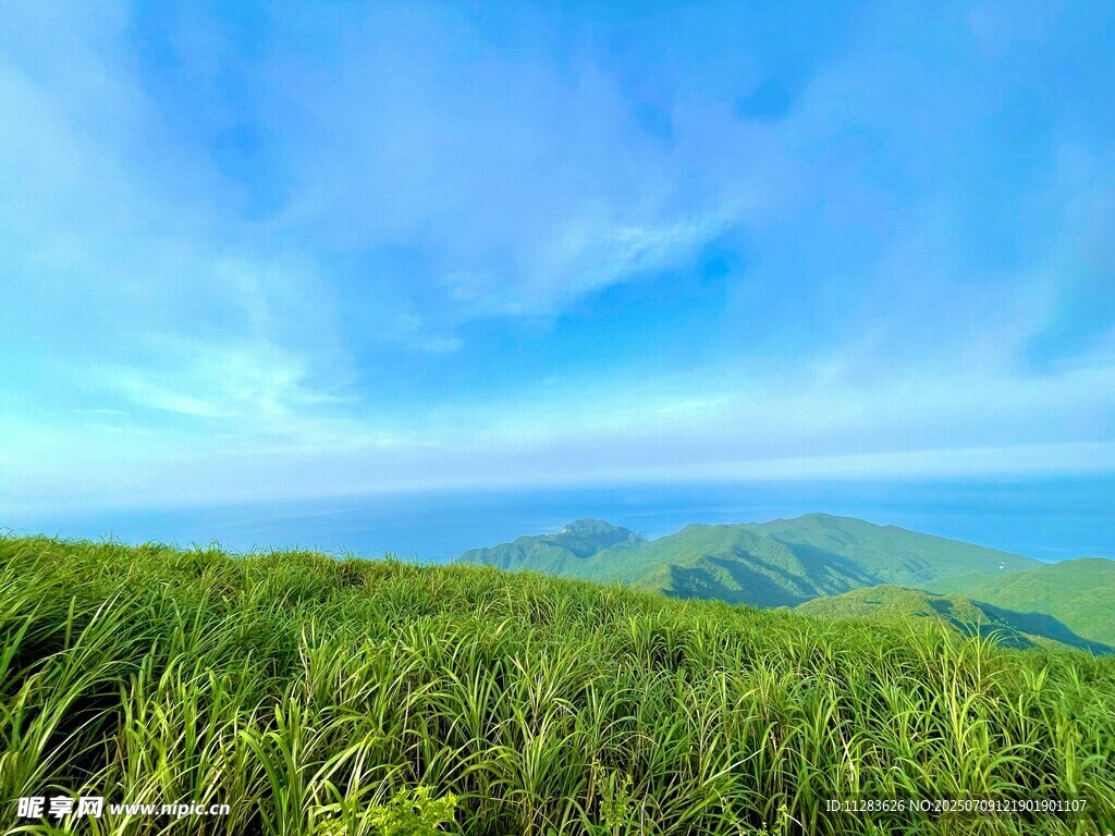 翠绿草原与蓝天美景