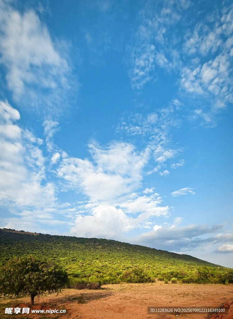蓝天白云下的广袤原野