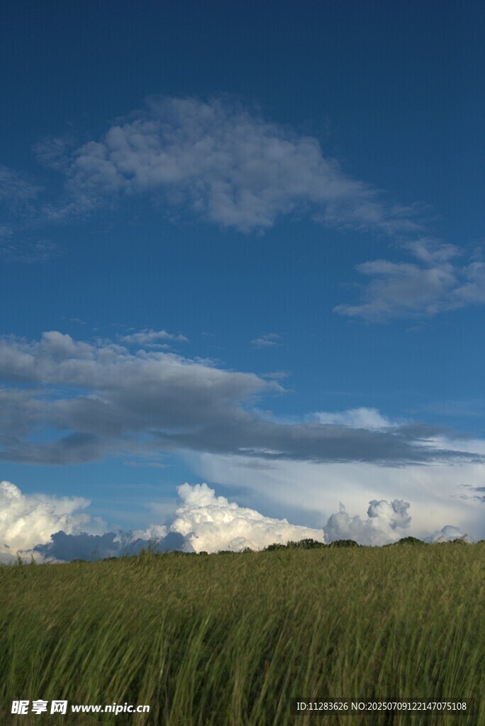 草原蓝天美景