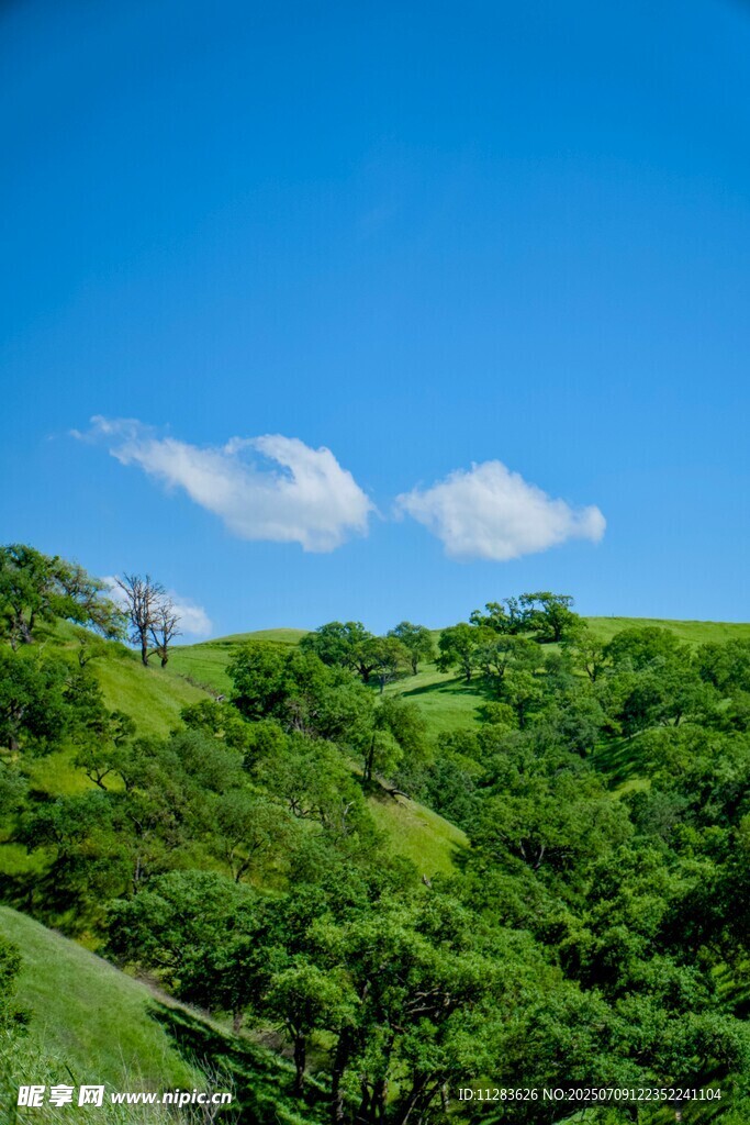 青山蓝天绿意盎然风景图