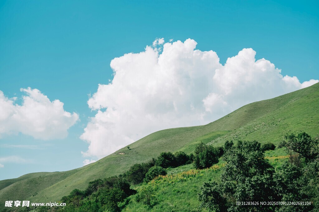 山坡白云