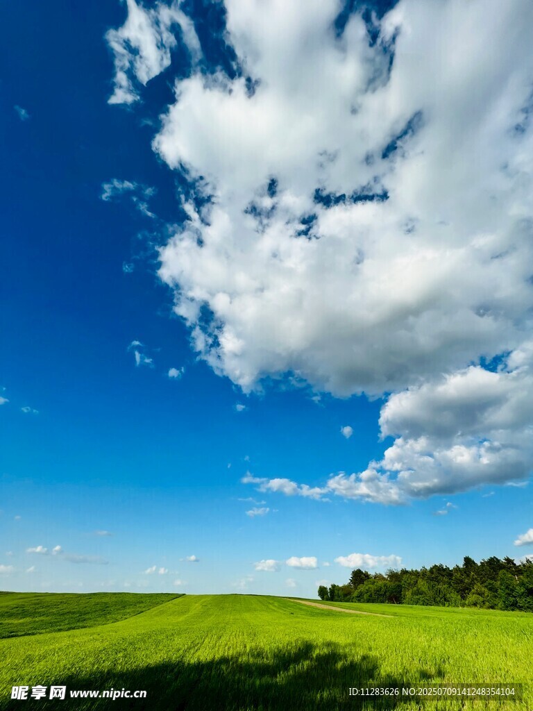 蓝天绿地美景