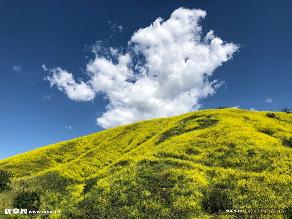 青山白云间的明媚风光