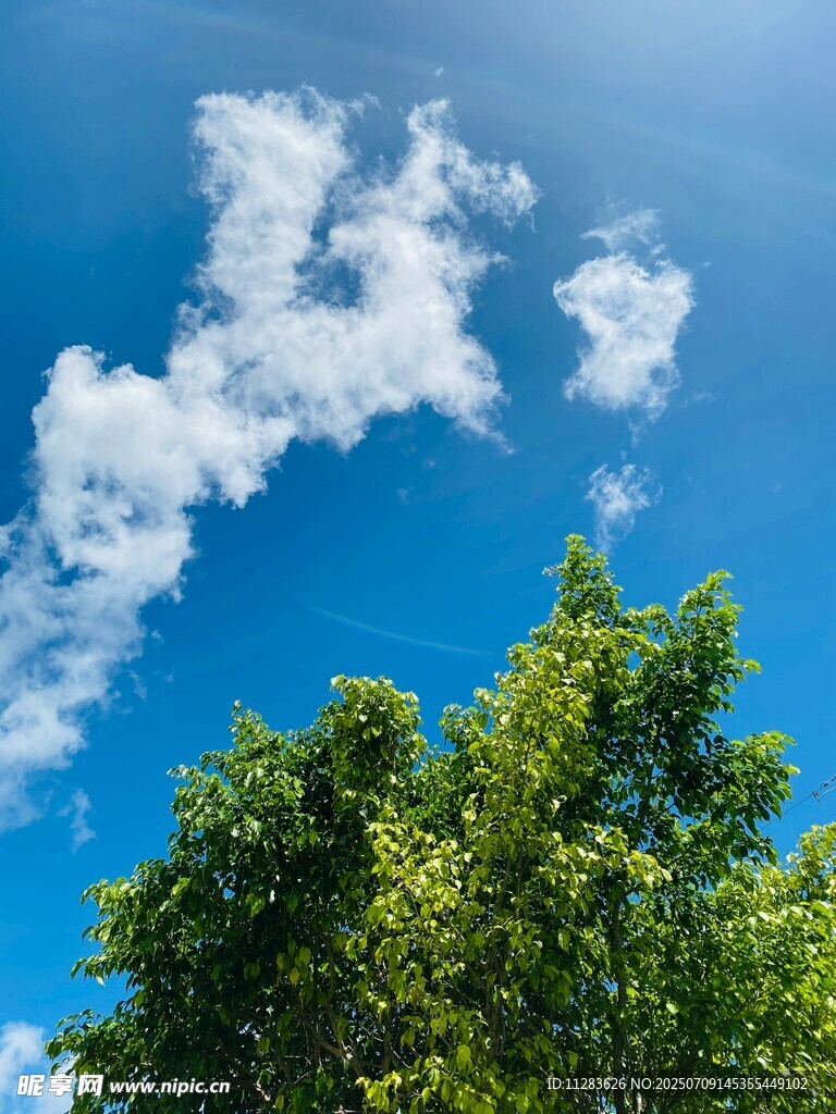 蓝天绿树间的白云美景
