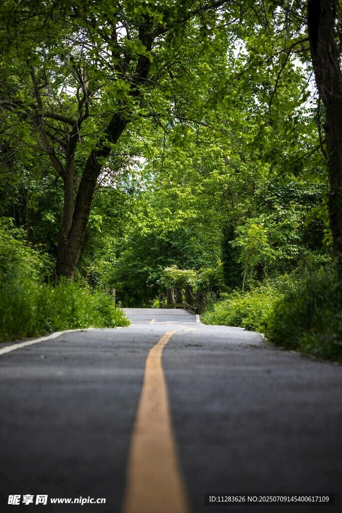 林间公路