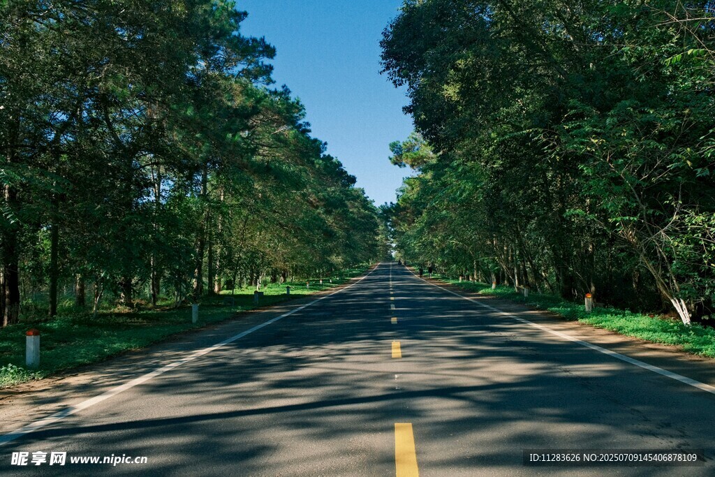 林间公路