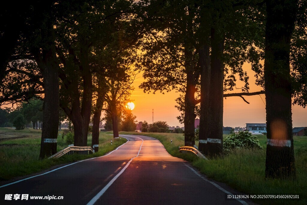 夕阳下的林间公路美景