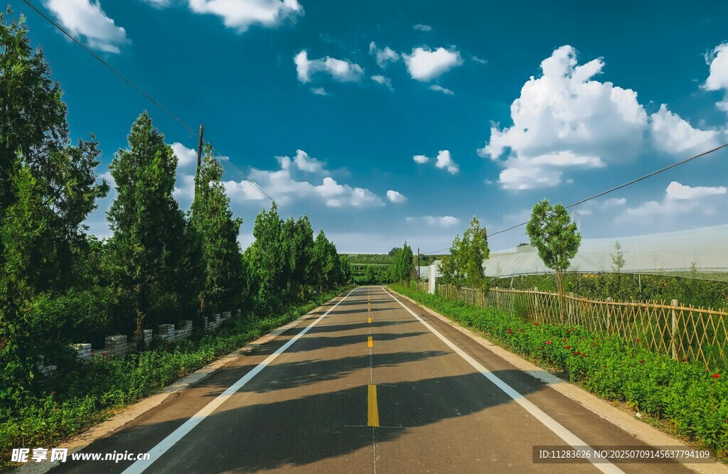 乡间公路风景