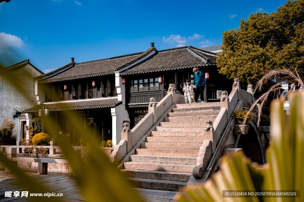 平湖中式古建筑台阶与绿植景观