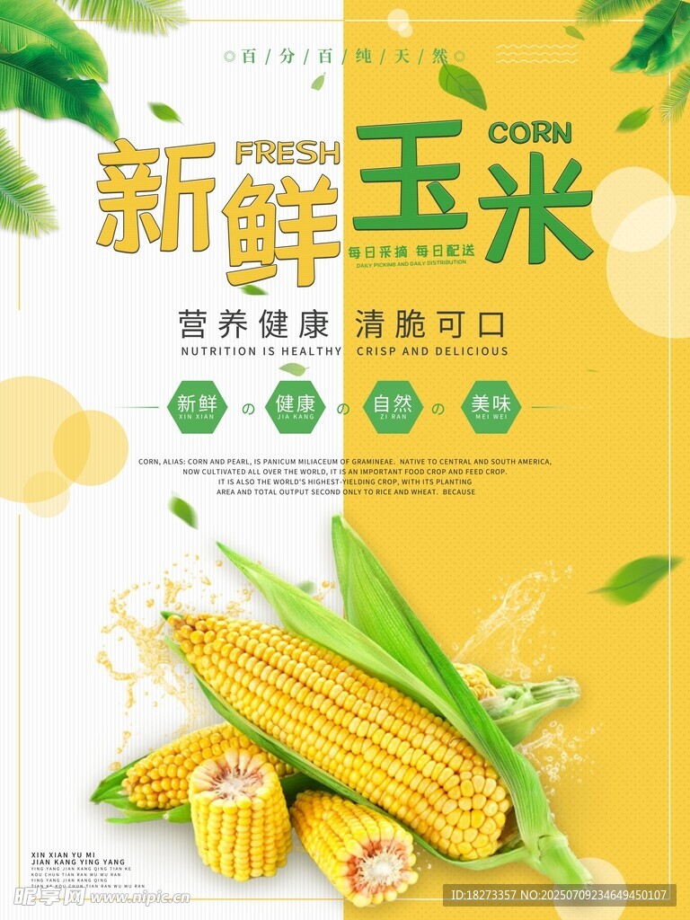 玉米海报