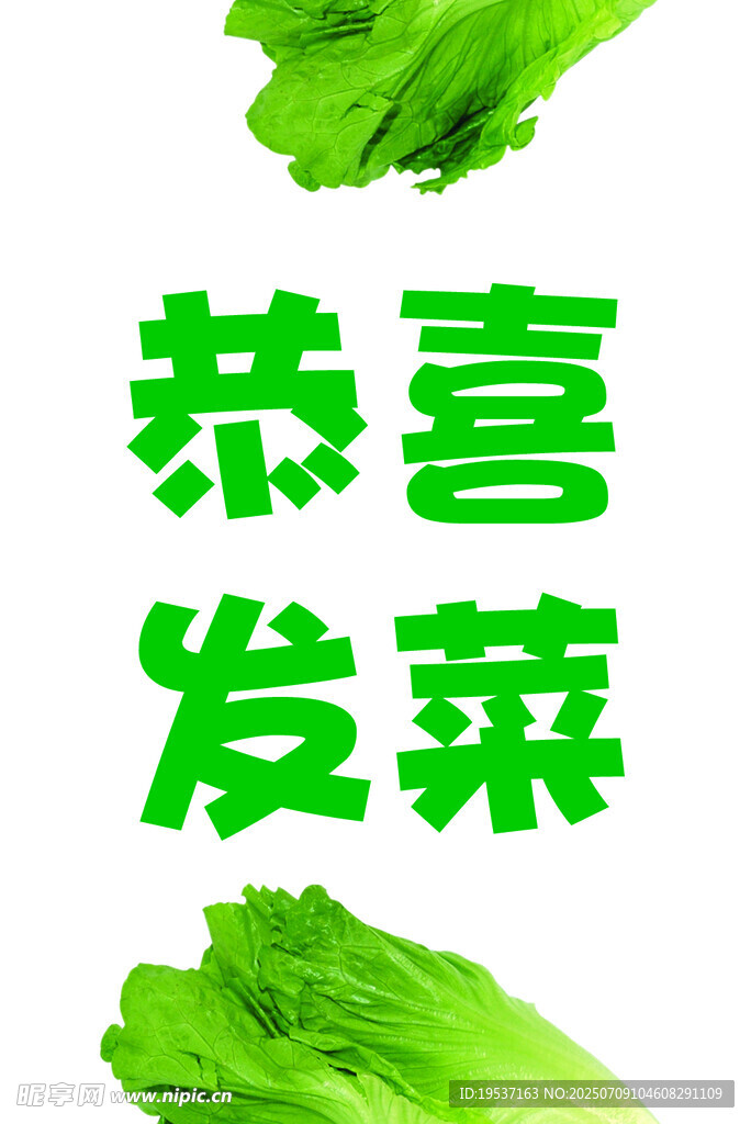 恭喜发菜
