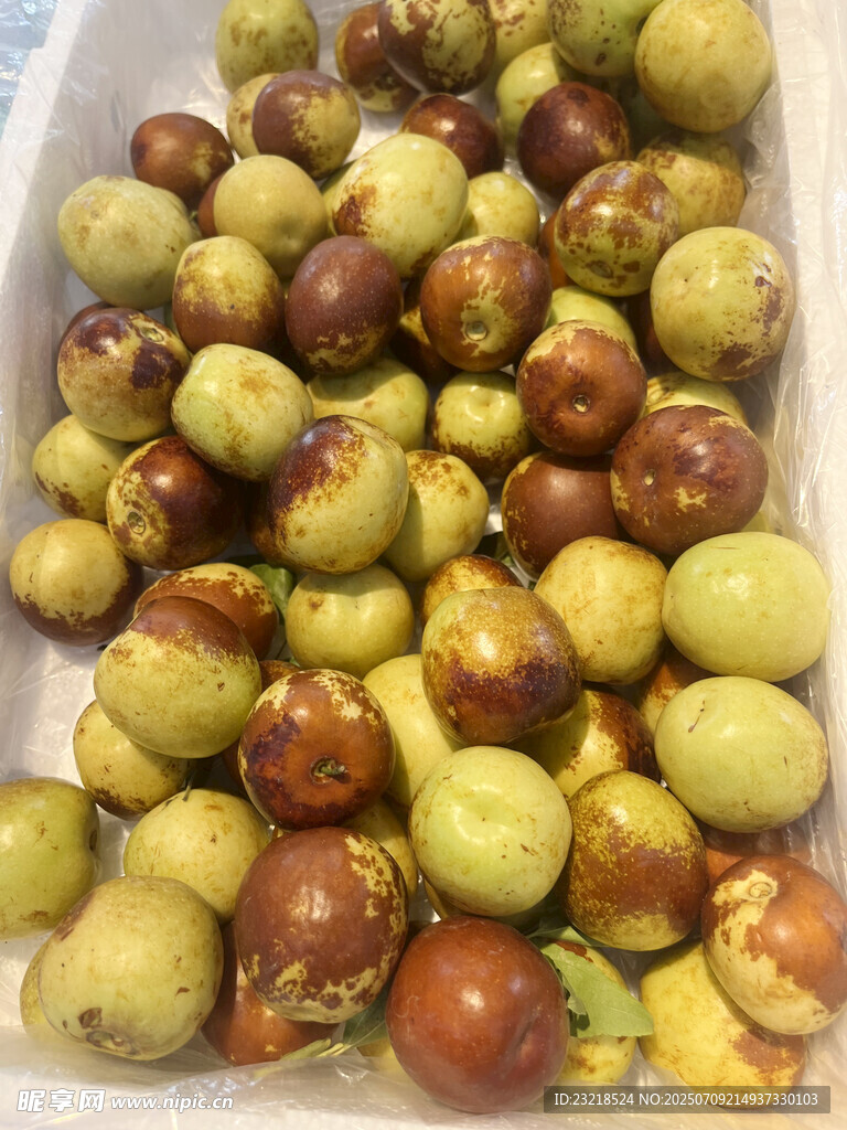 冬枣
