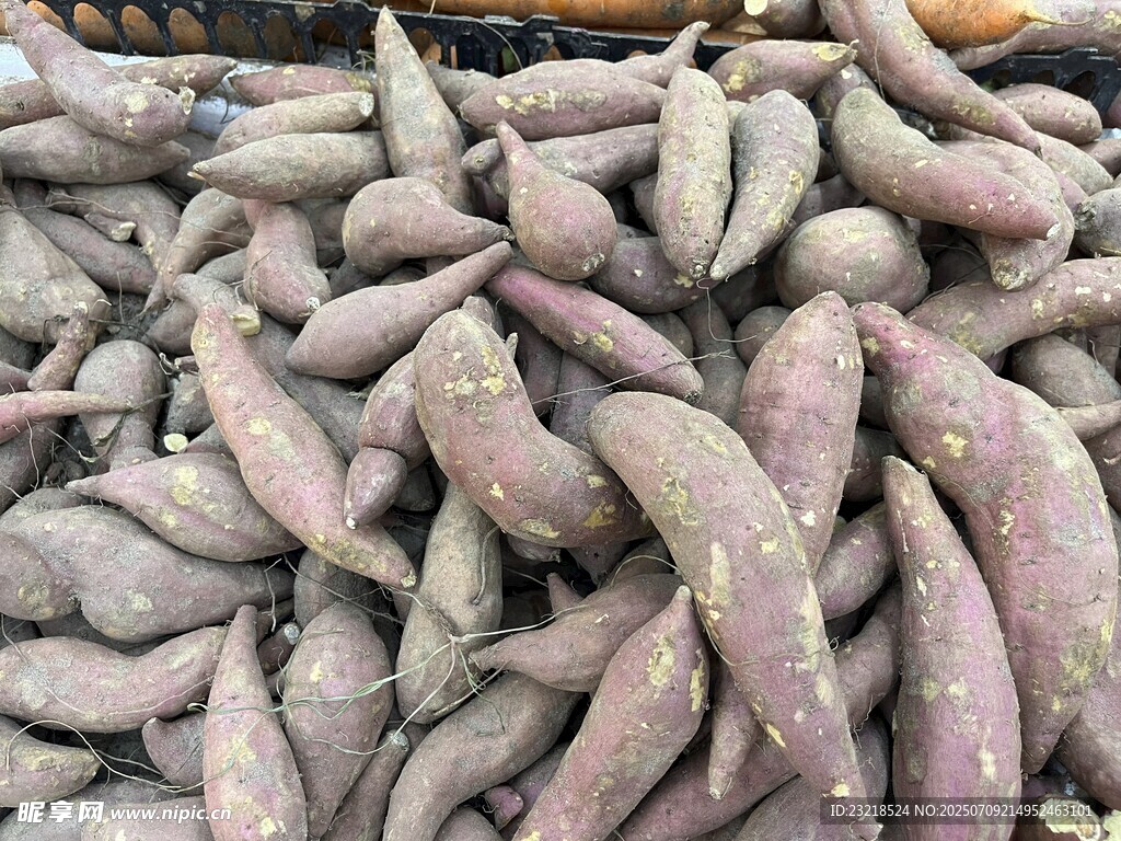 板栗红薯
