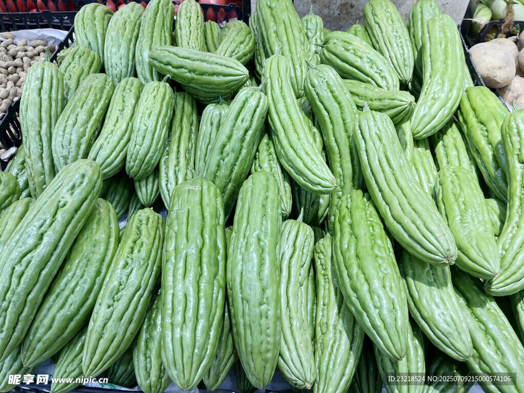 油苦瓜