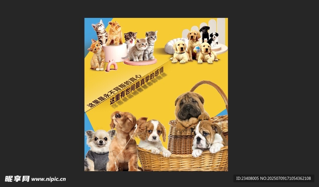 可爱动物大集合海报