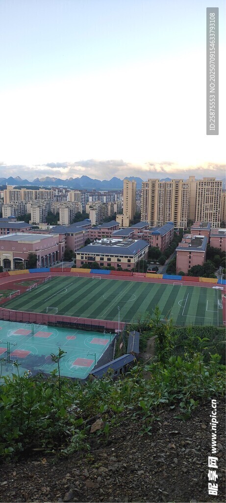 俯瞰多彩梯田景观