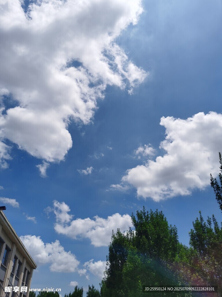 蓝天白云下的绿树与建筑