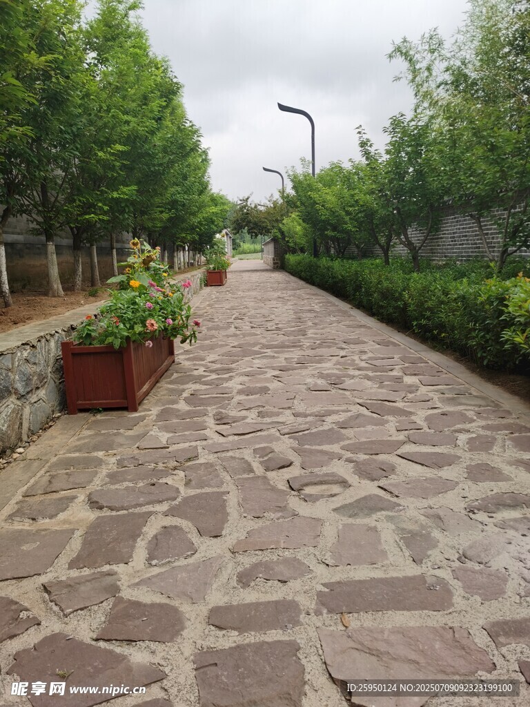 石板小径旁绿植相伴