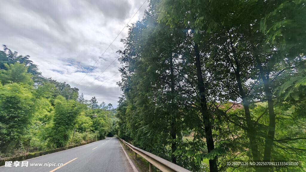 山间公路绿意盎然的旅程
