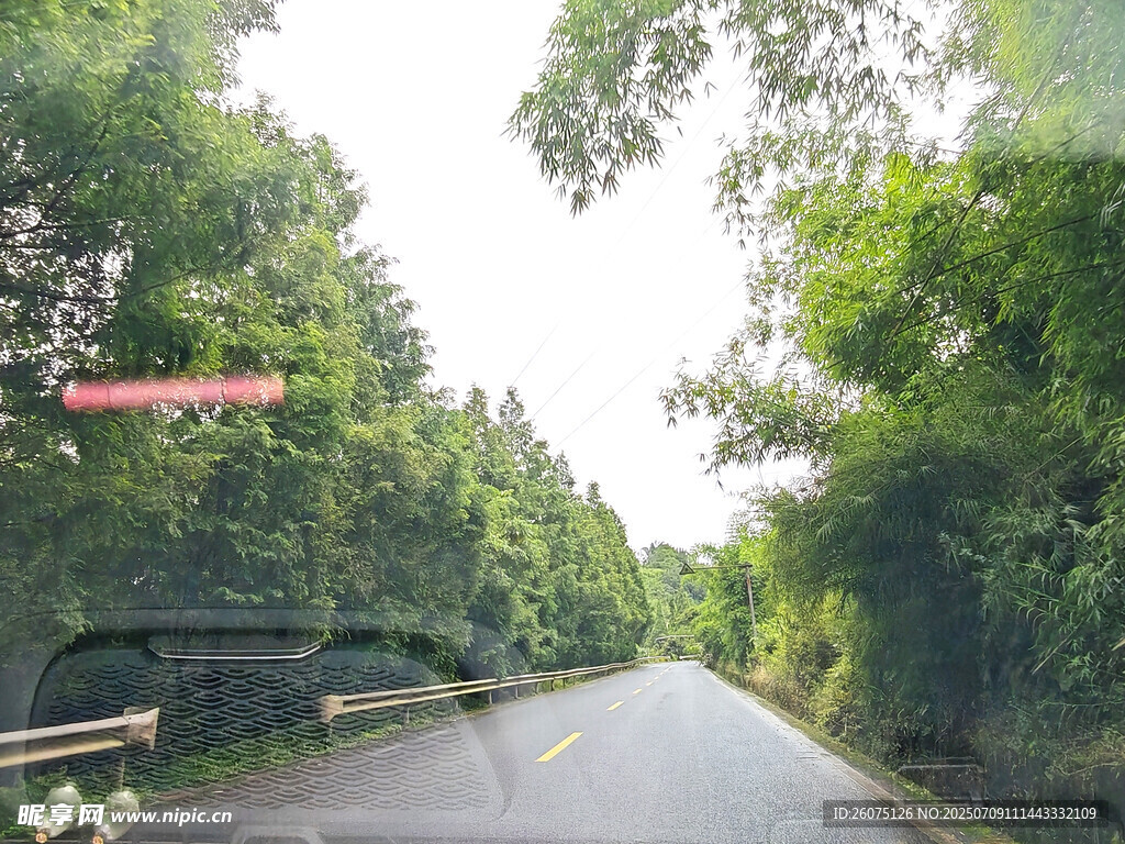 林间静谧公路