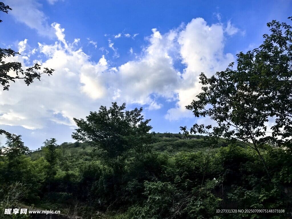 蓝天白云下的葱郁山林