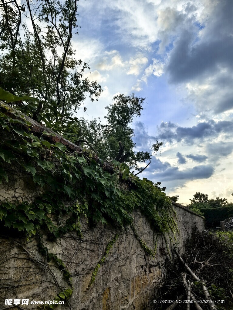 崖壁绿植与蓝天白云景观