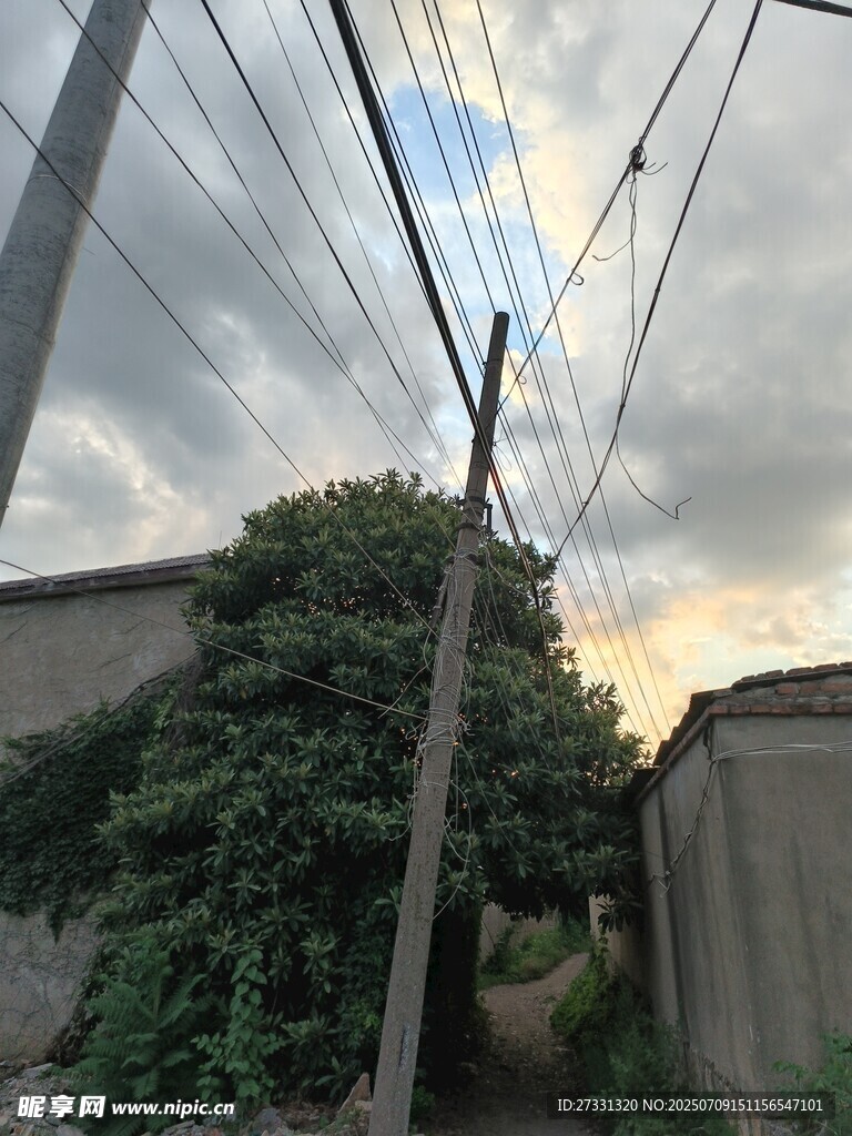 乡村小巷电线与绿植景象