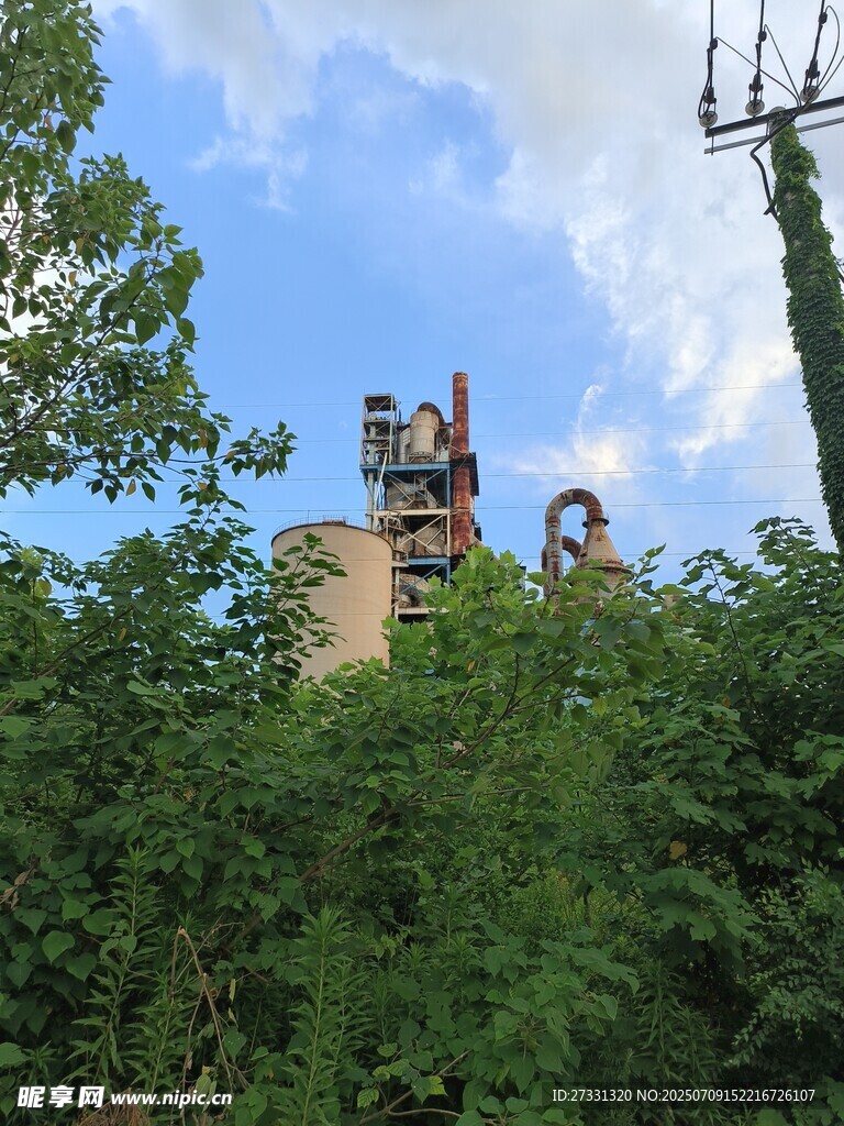 绿树掩映中的古老建筑