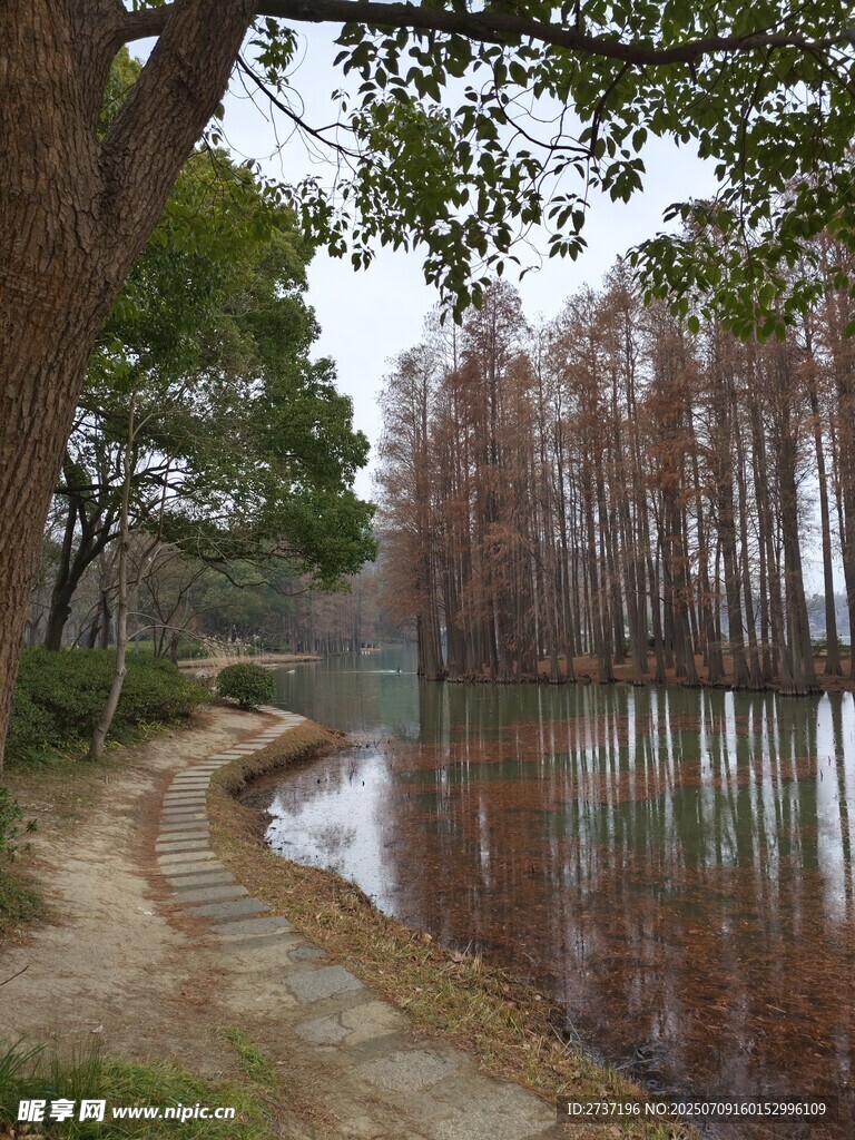 湖畔小径