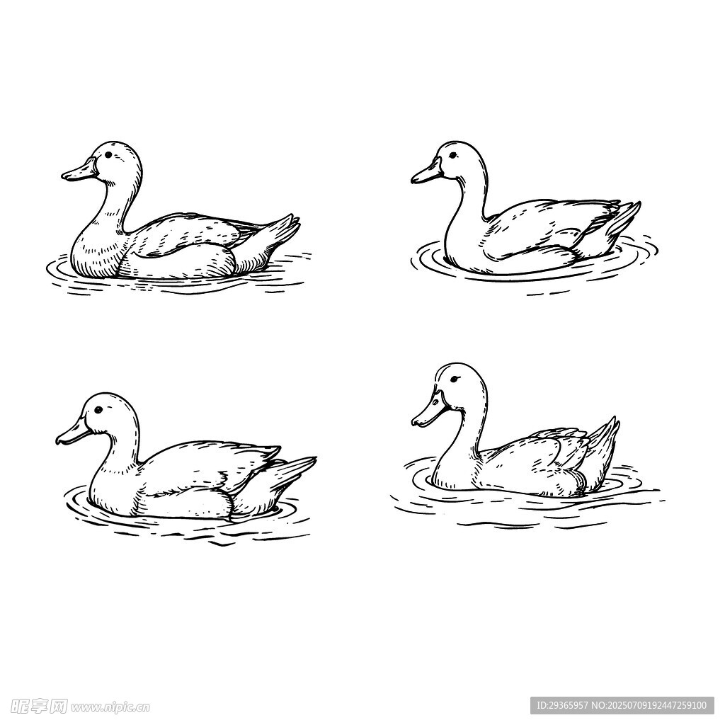 手绘水中鸭子图案