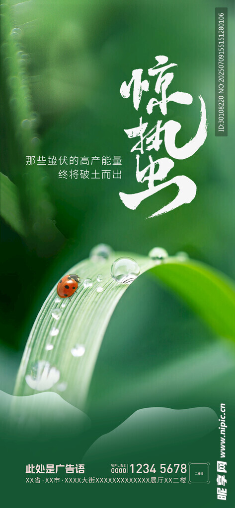 惊蛰