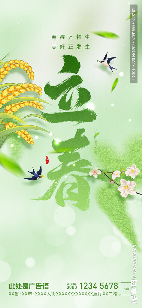 立春