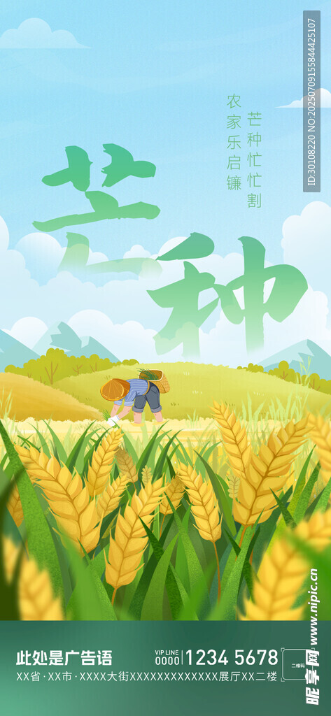 芒种