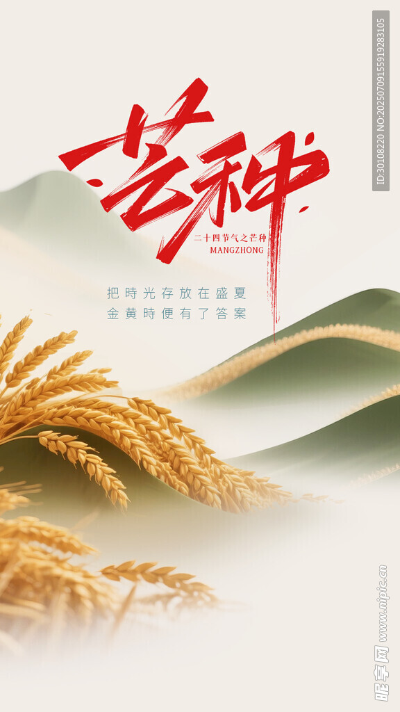 芒种