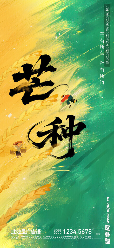 芒种