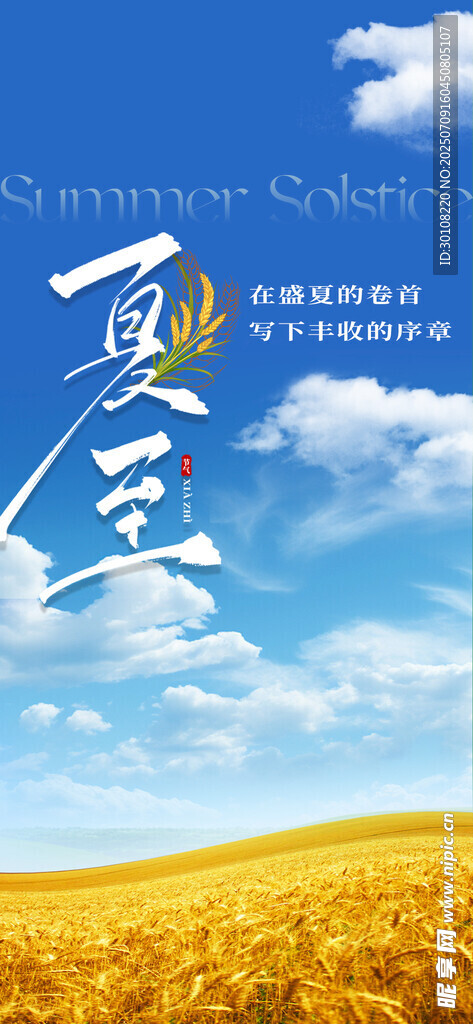 夏至海报 