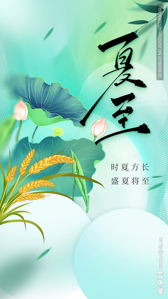 夏至海报