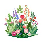缤纷花卉插画