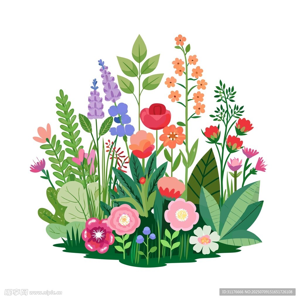 缤纷花卉插画