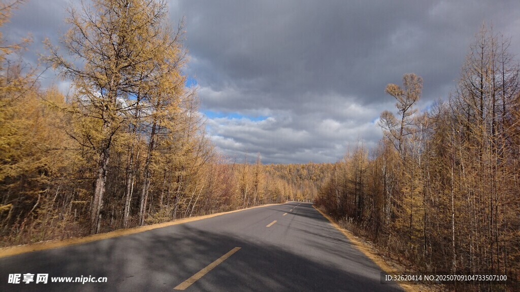 秋日林间公路美景