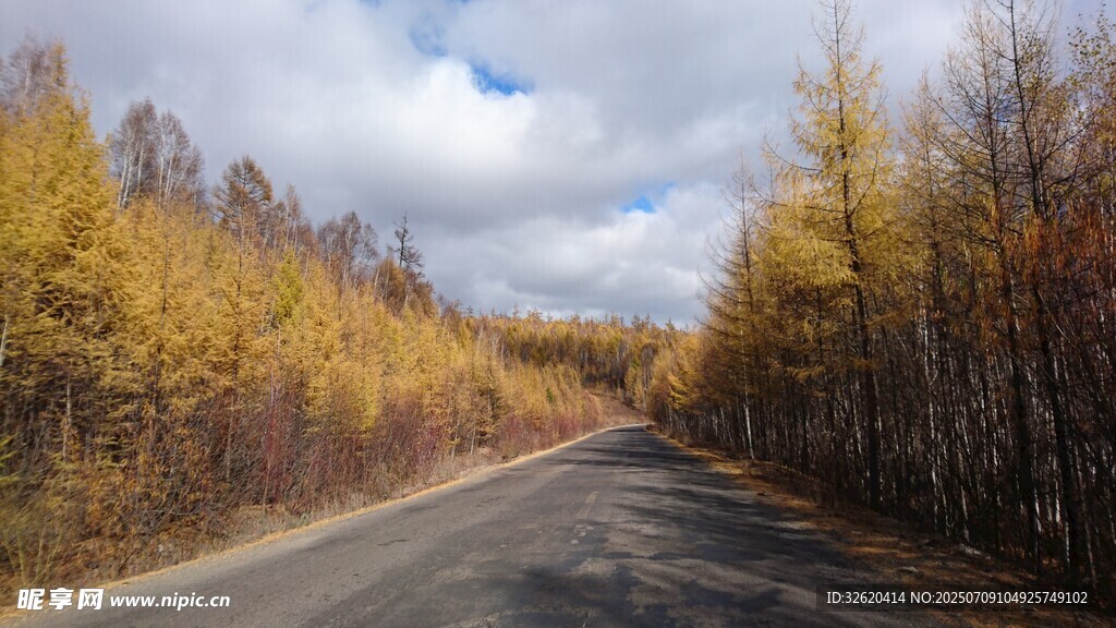 秋日林间公路美景