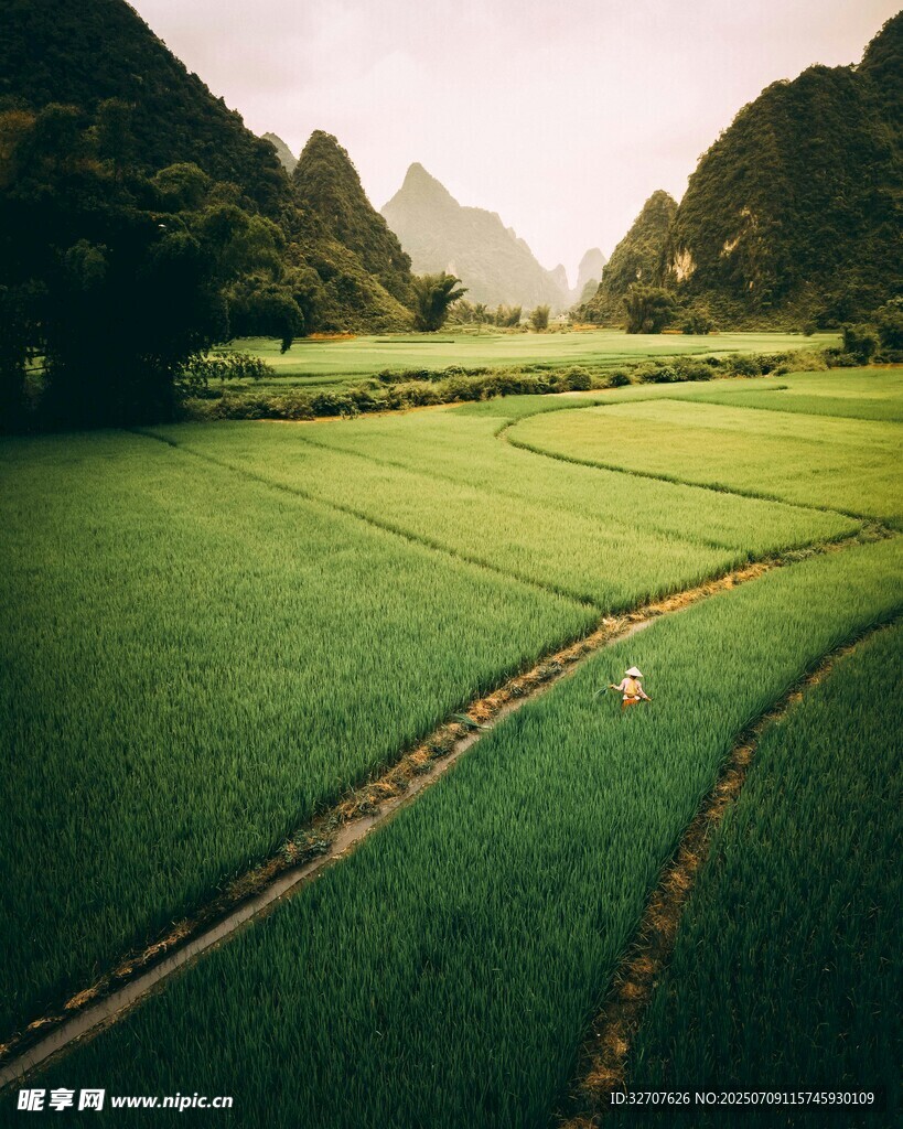 翠绿田野与连绵山峦美景