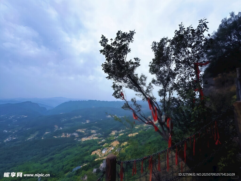 山间树影