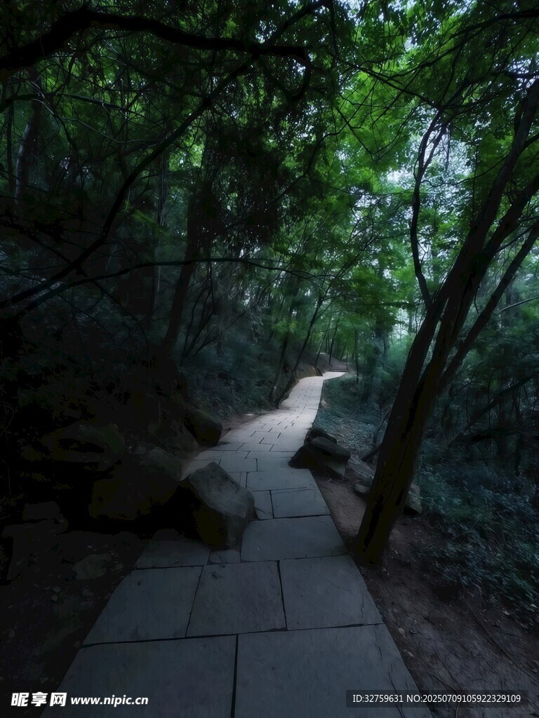 林间石板小径