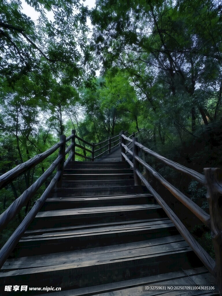 林间木梯