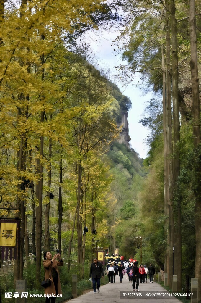 秋日山林漫步美景